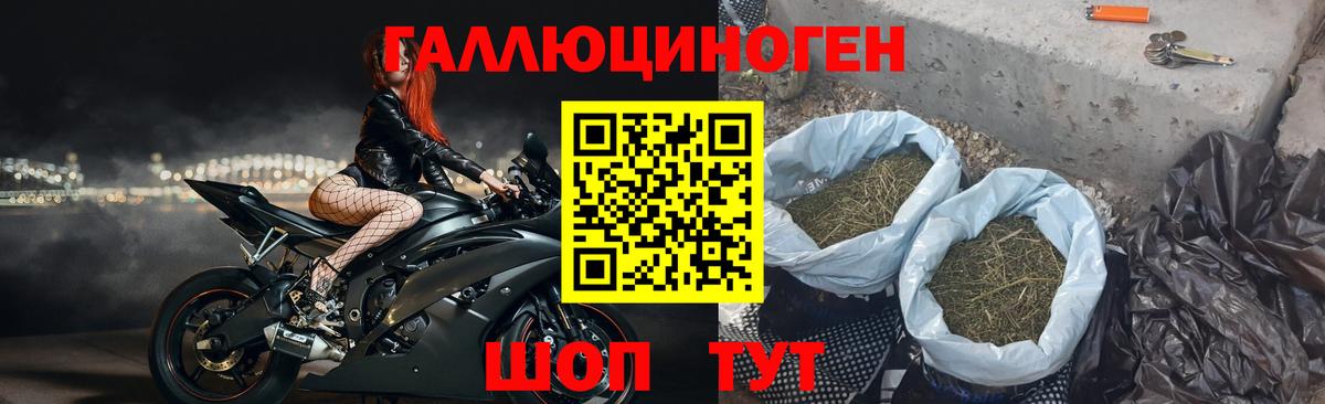 купить наркотик  Вход с VPN  Галлюциногенные грибы Psilocybine cubensis  Зеленодольск  Галлюциногенные грибы прущие грибы 